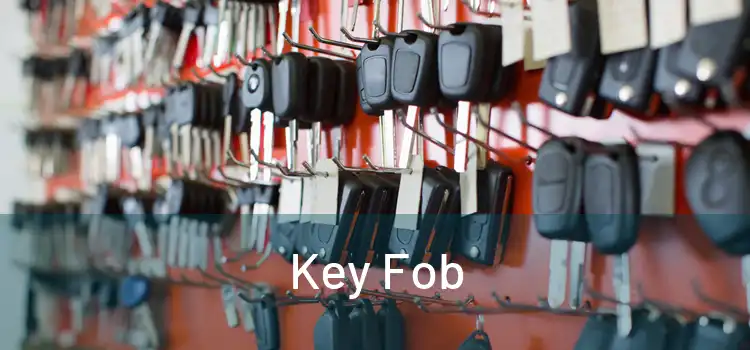  Key Fob 